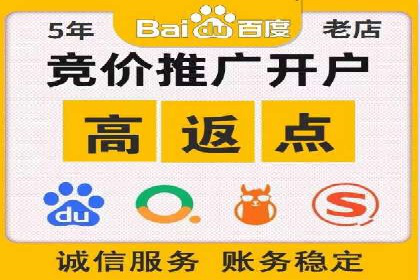 成功案例：SEM竞价托管的策略与效果